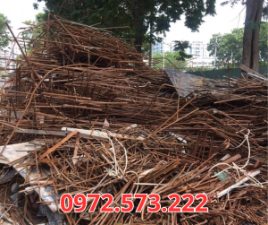 Thêm tiêu đề (17)